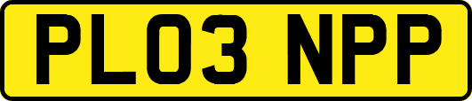 PL03NPP
