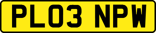 PL03NPW