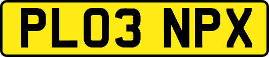 PL03NPX