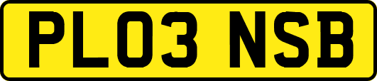 PL03NSB