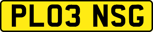 PL03NSG