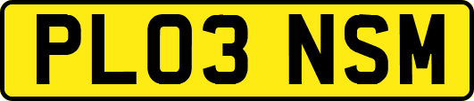 PL03NSM