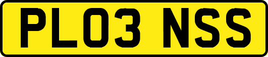 PL03NSS