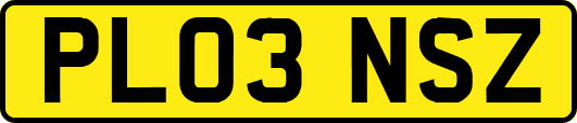 PL03NSZ