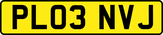PL03NVJ