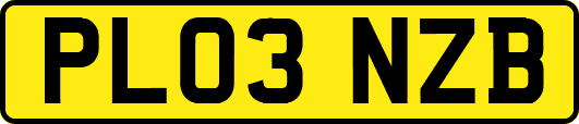 PL03NZB