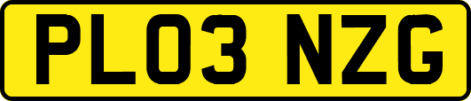 PL03NZG