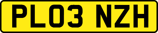 PL03NZH