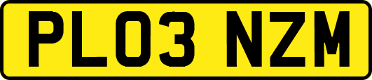 PL03NZM