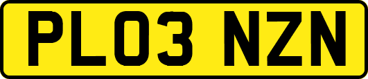 PL03NZN