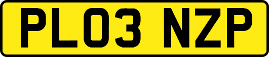 PL03NZP