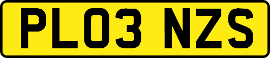PL03NZS