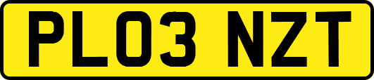 PL03NZT
