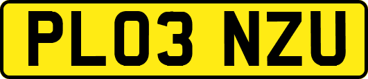 PL03NZU
