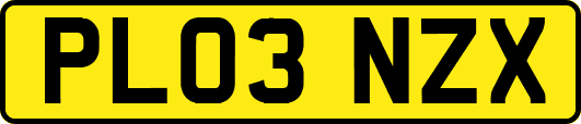 PL03NZX