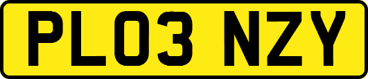 PL03NZY