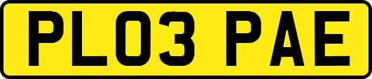 PL03PAE