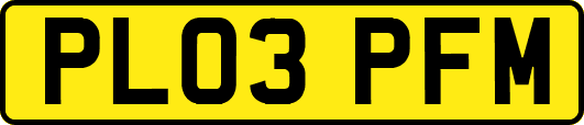PL03PFM