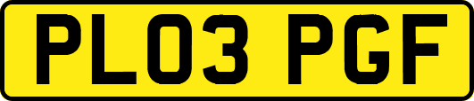 PL03PGF