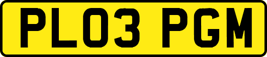 PL03PGM