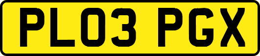PL03PGX
