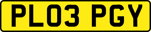 PL03PGY