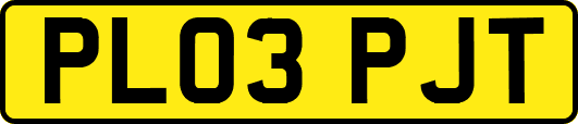 PL03PJT