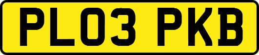 PL03PKB