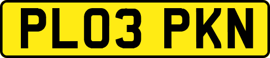 PL03PKN