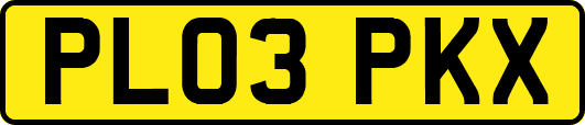 PL03PKX