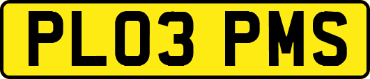 PL03PMS