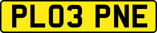 PL03PNE