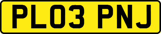 PL03PNJ