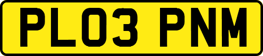 PL03PNM