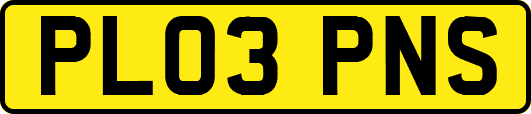 PL03PNS