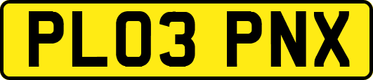 PL03PNX