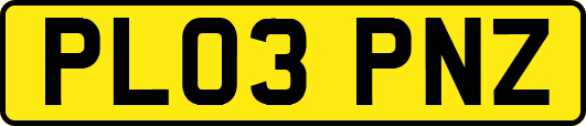 PL03PNZ