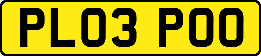 PL03POO