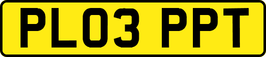PL03PPT