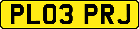 PL03PRJ