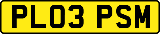 PL03PSM