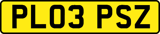 PL03PSZ