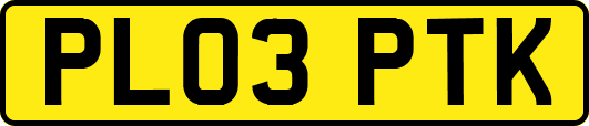 PL03PTK