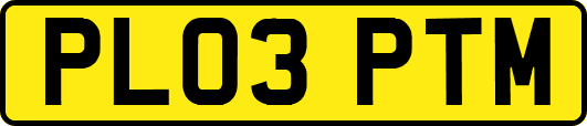 PL03PTM