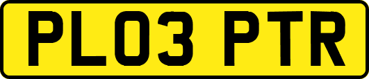 PL03PTR