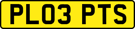 PL03PTS