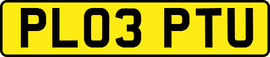 PL03PTU