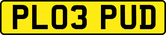 PL03PUD