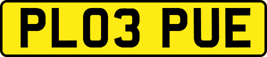 PL03PUE