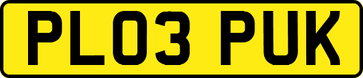 PL03PUK